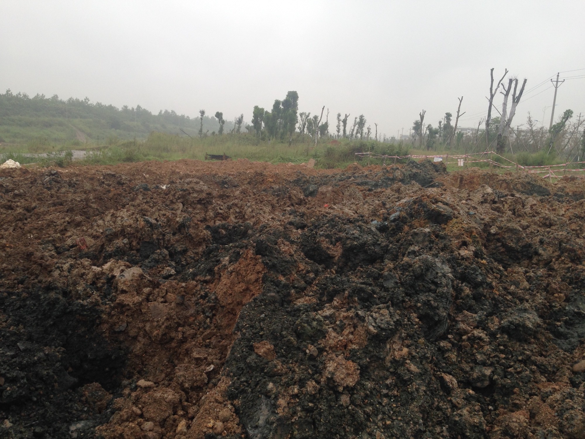 圖片關(guān)鍵詞 圖片關(guān)鍵詞